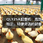 QLY25A起重机：高效稳定，轻便灵活的起重设备选择（图2）