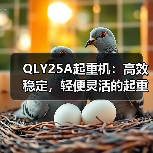 QLY25A起重机：高效稳定，轻便灵活的起重设备选择（图1）