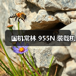 国机常林 955N 装载机(图3) 国机常林 955N 装载机(图3)