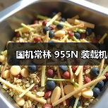 国机常林 955N 装载机(图1) 国机常林 955N 装载机(图1)
