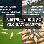3.0吨承重 山东福临QLY3.0-5A起重机优势解析(图1) 3.0吨承重 山东福临QLY3.0-5A起重机优势解析(图1)