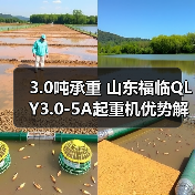 3.0吨承重 山东福临QLY3.0-5A起重机优势解析(图3) 3.0吨承重 山东福临QLY3.0-5A起重机优势解析(图3)