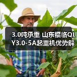 3.0吨承重 山东福临QLY3.0-5A起重机优势解析(图2) 3.0吨承重 山东福临QLY3.0-5A起重机优势解析(图2)