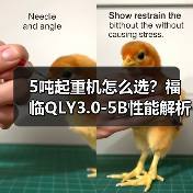 5吨起重机怎么选？福临QLY3.0-5B性能解析（图3）