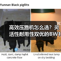 高效压路机怎么选?灵活性耐用性双优的BW145PDH-3解析(图2) 高效压路机怎么选?灵活性耐用性双优的BW145PDH-3解析(图2)