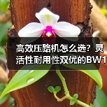 高效压路机怎么选?灵活性耐用性双优的BW145PDH-3解析(图1) 高效压路机怎么选?灵活性耐用性双优的BW145PDH-3解析(图1)