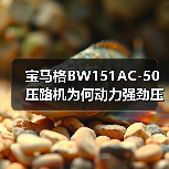 宝马格BW151AC-50压路机为何动力强劲压实效果卓越?(图2) 宝马格BW151AC-50压路机为何动力强劲压实效果卓越?(图2)