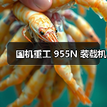 国机重工 955N 装载机(图3) 国机重工 955N 装载机(图3)