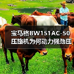 宝马格BW151AC-50压路机为何动力强劲压实效果卓越?(图4) 宝马格BW151AC-50压路机为何动力强劲压实效果卓越?(图4)