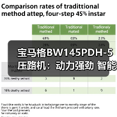 宝马格BW145PDH-5压路机：动力强劲 智能高效 高性价比选择（图2）
