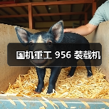 国机重工 956 装载机（图1）