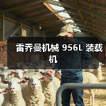 雷乔曼机械 956L 装载机(图1) 雷乔曼机械 956L 装载机(图1)