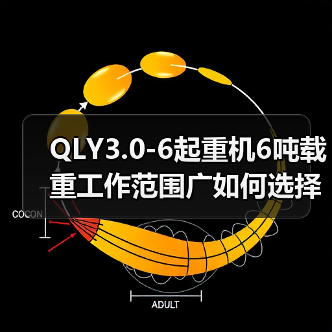QLY3.0-6起重机6吨载重工作范围广如何选择(图2) QLY3.0-6起重机6吨载重工作范围广如何选择(图2)
