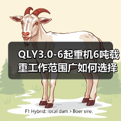 QLY3.0-6起重机6吨载重工作范围广如何选择(图4) QLY3.0-6起重机6吨载重工作范围广如何选择(图4)
