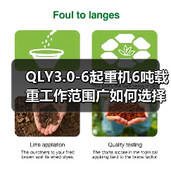 QLY3.0-6起重机6吨载重工作范围广如何选择(图3) QLY3.0-6起重机6吨载重工作范围广如何选择(图3)