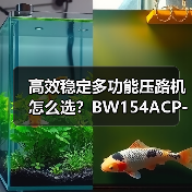 高效稳定多功能压路机怎么选？BW154ACP-4AM评测（图4）