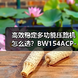 高效稳定多功能压路机怎么选？BW154ACP-4AM评测（图3）