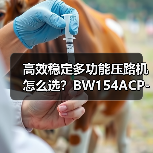 高效稳定多功能压路机怎么选？BW154ACP-4AM评测（图2）