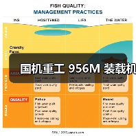 国机重工 956M 装载机(图4) 国机重工 956M 装载机(图4)