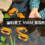 国机重工 956M 装载机(图3) 国机重工 956M 装载机(图3)
