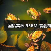 国机常林 956M 装载机(图1) 国机常林 956M 装载机(图1)