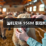 国机常林 956M 装载机(图2) 国机常林 956M 装载机(图2)