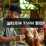 国机常林 956M 装载机(图4) 国机常林 956M 装载机(图4)