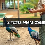 国机常林 956M 装载机(图3) 国机常林 956M 装载机(图3)
