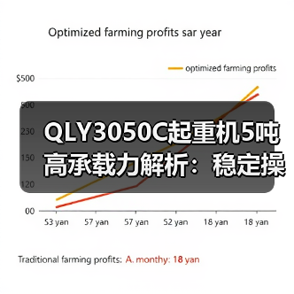 QLY3050C起重机5吨高承载力解析：稳定操作广适用性如何？（图3）
