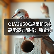 QLY3050C起重机5吨高承载力解析：稳定操作广适用性如何？（图4）