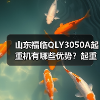 山东福临QLY3050A起重机有哪些优势？起重能力强、安全可靠还能降低维护成本（图2）