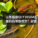 山东福临QLY3050A起重机有哪些优势？起重能力强、安全可靠还能降低维护成本（图1）