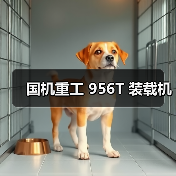 国机重工 956T 装载机(图2) 国机重工 956T 装载机(图2)