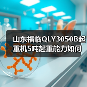 山东福临QLY3050B起重机5吨起重能力如何?(图2) 山东福临QLY3050B起重机5吨起重能力如何?(图2)