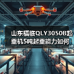 山东福临QLY3050B起重机5吨起重能力如何?(图3) 山东福临QLY3050B起重机5吨起重能力如何?(图3)