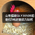 山东福临QLY3050B起重机5吨起重能力如何?(图4) 山东福临QLY3050B起重机5吨起重能力如何?(图4)