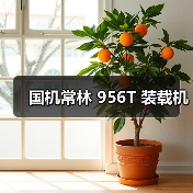 国机常林 956T 装载机(图3) 国机常林 956T 装载机(图3)