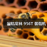 国机常林 956T 装载机(图2) 国机常林 956T 装载机(图2)