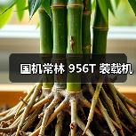 国机常林 956T 装载机(图1) 国机常林 956T 装载机(图1)