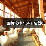 国机常林 956T 装载机(图4) 国机常林 956T 装载机(图4)