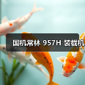 国机常林 957H 装载机(图2) 国机常林 957H 装载机(图2)