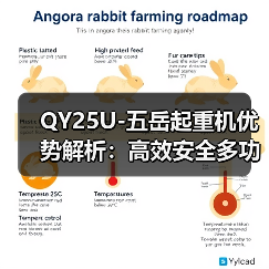 QY25U-五岳起重机优势解析:高效安全多功能工程首选(图3) QY25U-五岳起重机优势解析:高效安全多功能工程首选(图3)