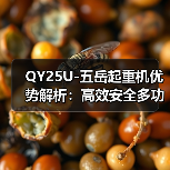 QY25U-五岳起重机优势解析:高效安全多功能工程首选(图4) QY25U-五岳起重机优势解析:高效安全多功能工程首选(图4)