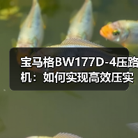 宝马格BW177D-4压路机:如何实现高效压实?(图2) 宝马格BW177D-4压路机:如何实现高效压实?(图2)