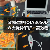 5吨起重机QLY3050D六大优势解析:高效稳定安全可靠(图2) 5吨起重机QLY3050D六大优势解析:高效稳定安全可靠(图2)