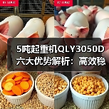 5吨起重机QLY3050D六大优势解析:高效稳定安全可靠(图3) 5吨起重机QLY3050D六大优势解析:高效稳定安全可靠(图3)