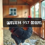 国机常林 957 装载机(图1) 国机常林 957 装载机(图1)