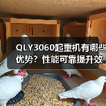 QLY3060起重机有哪些优势?性能可靠提升效率(图1) QLY3060起重机有哪些优势?性能可靠提升效率(图1)