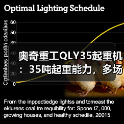 奥奇重工QLY35起重机:35吨起重能力,多场景应用解析(图4) 奥奇重工QLY35起重机:35吨起重能力,多场景应用解析(图4)