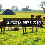 国机常林 957S 装载机(图1) 国机常林 957S 装载机(图1)